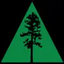 AMSF logo