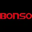 BNSO logo