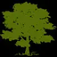 CYH logo