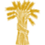FMNB logo