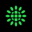 SHLS logo