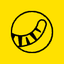 TIGR logo